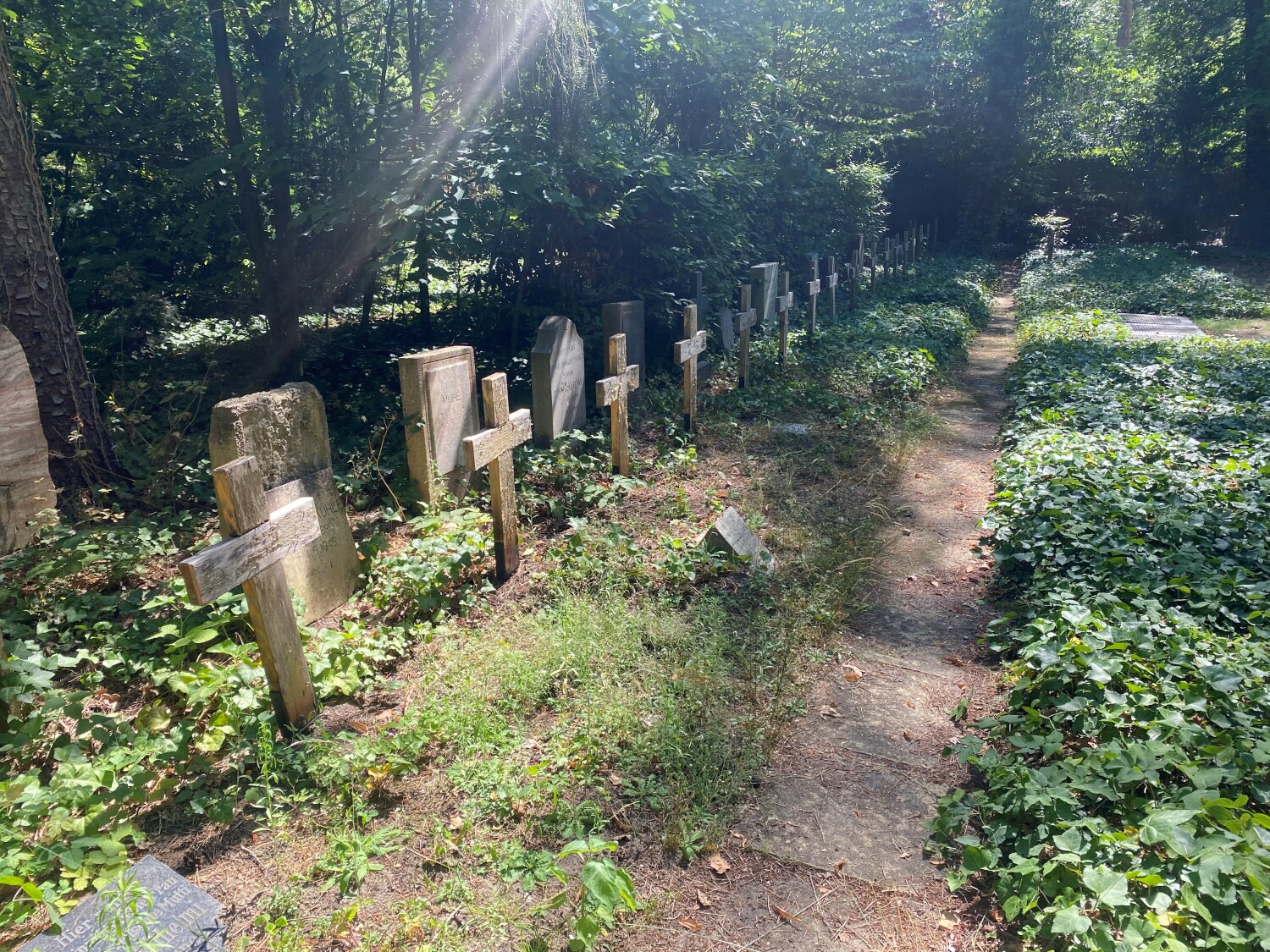 Grabmähler auf dem Friedhof Grunewald Forst