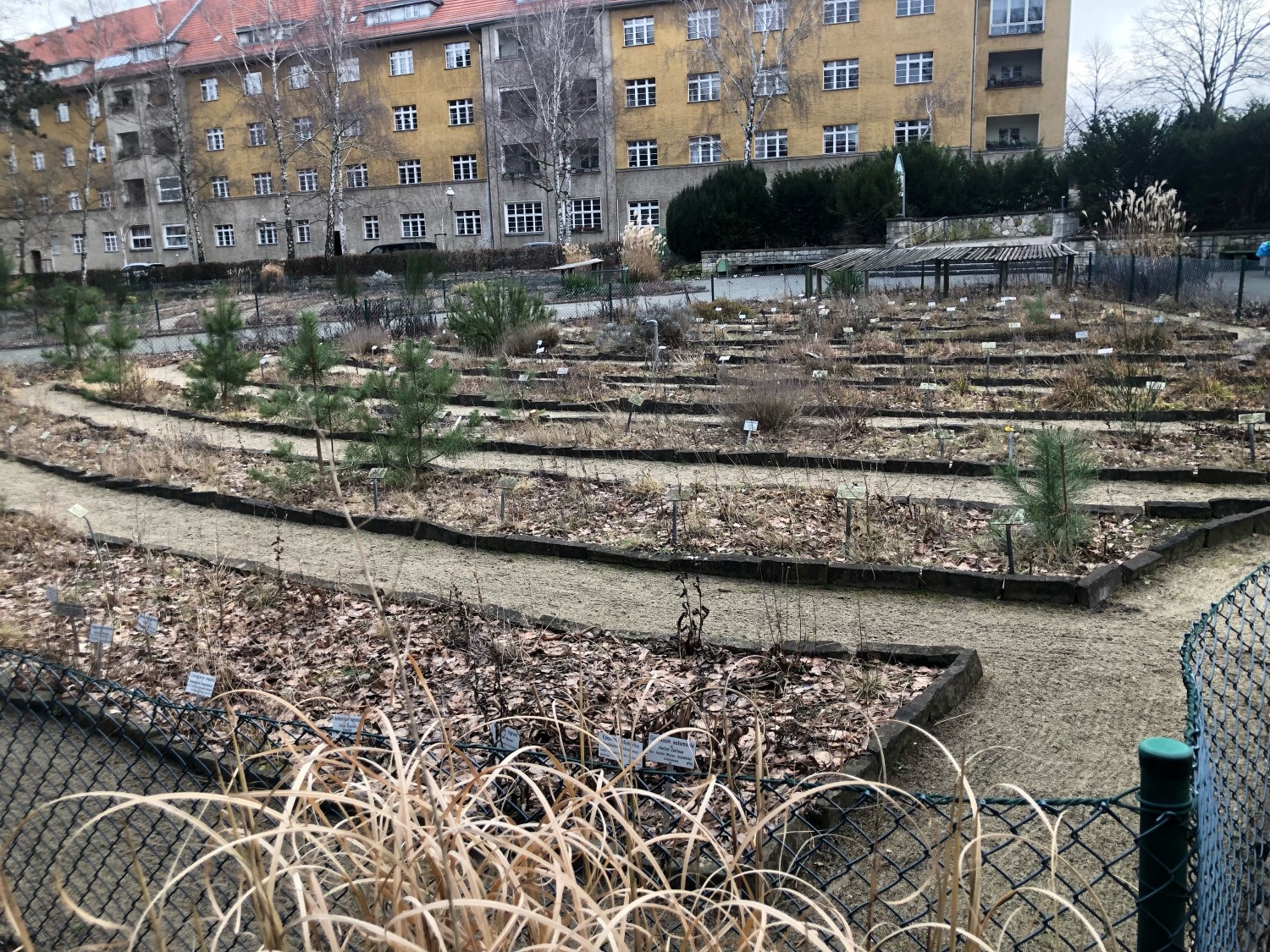 Botanischer Lehrgarten auf dem Brixplatz m Winter.