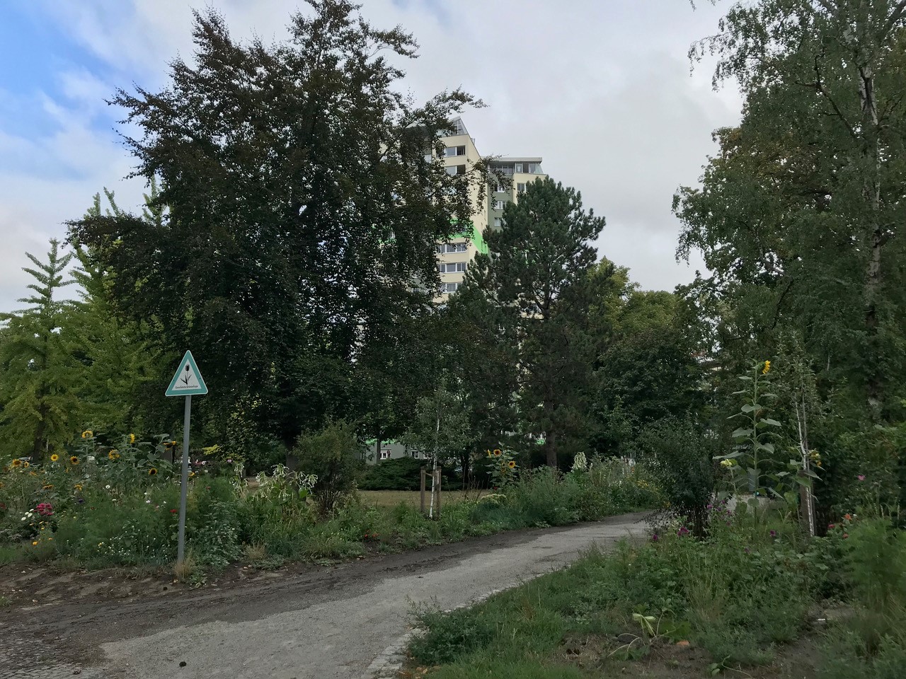 bepflanzte Beete auf dem Betty-Hirsch-Platz im Juni 2023