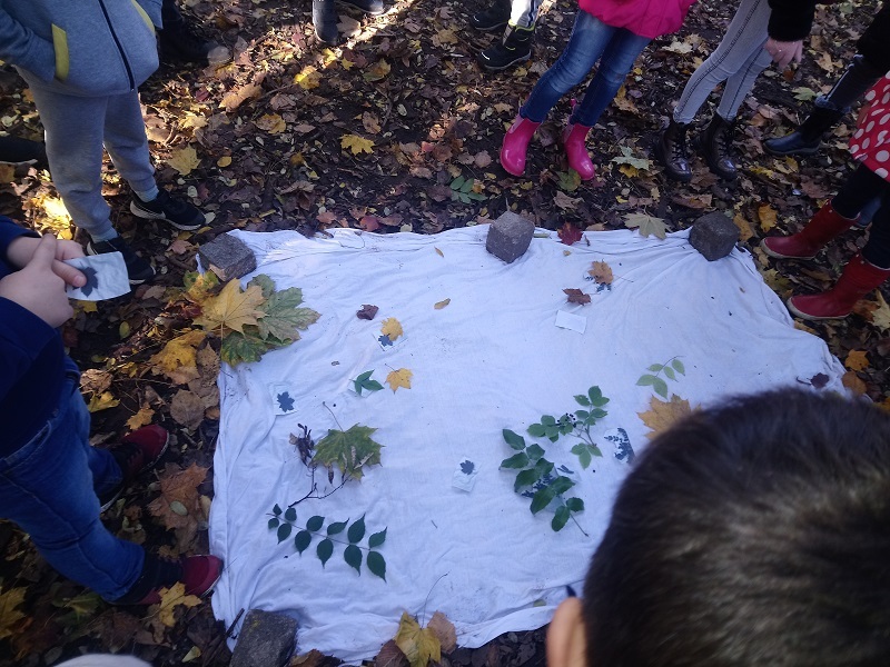 Kinder lernen spielerisch die Bestimmung der Bäume im Robinienwäldchen.