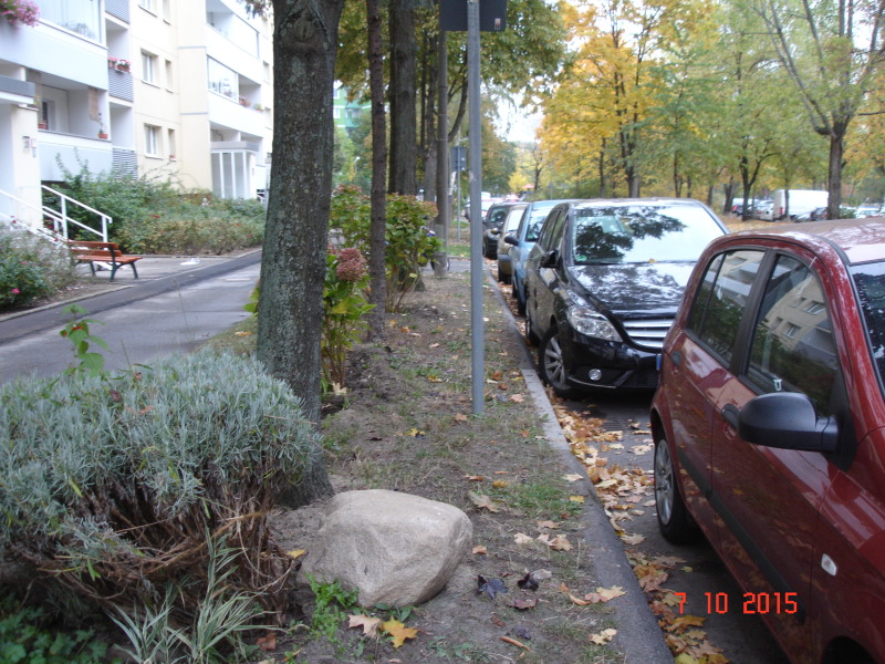Straßenbegleitgrün in der Altenhoferstraße 21-25, 13055 Berlin
