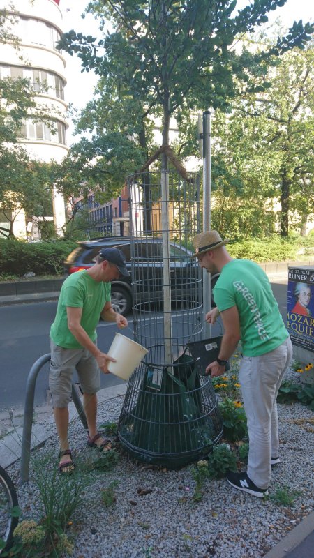 Bürgerinnen und Bürger helfen beim Bäume gießen und beteiligen sich an der Aktion "Mitte gießt".