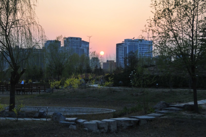 Chaoyang Park