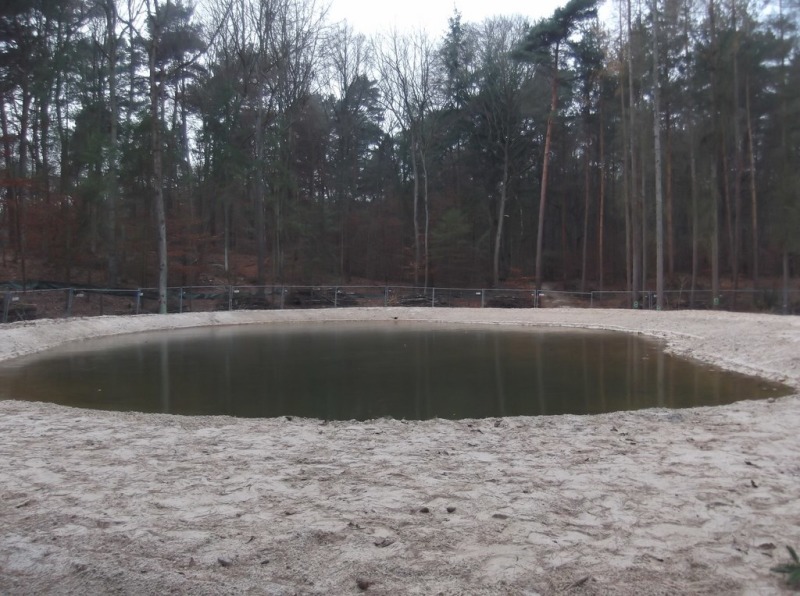 2014-12-03 befüllter Teich