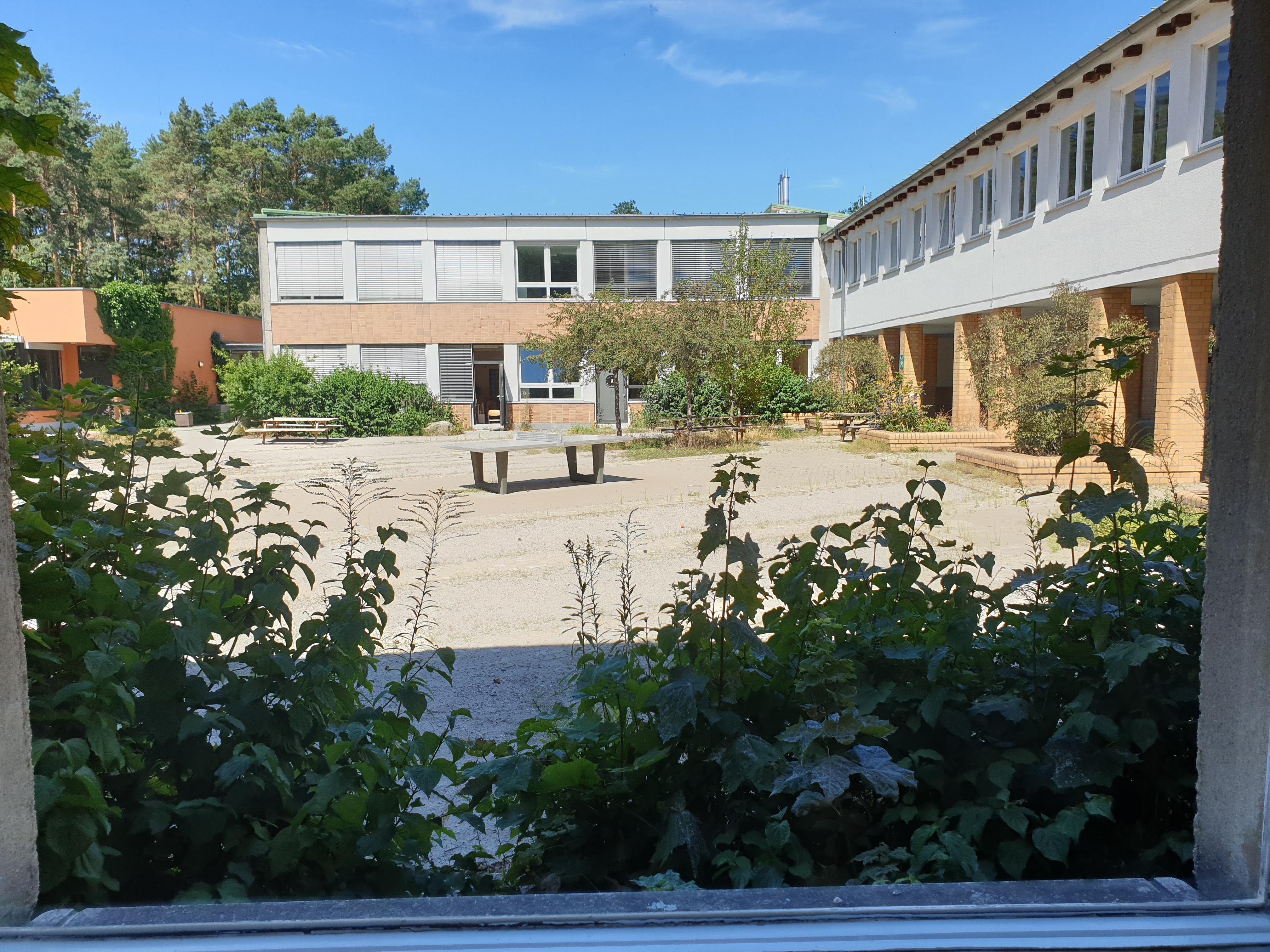 Grundschule am Ritterfeld