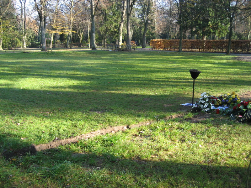 Rasenfläche mit einem frischen anonymen Urnengrab, Blumengebinde