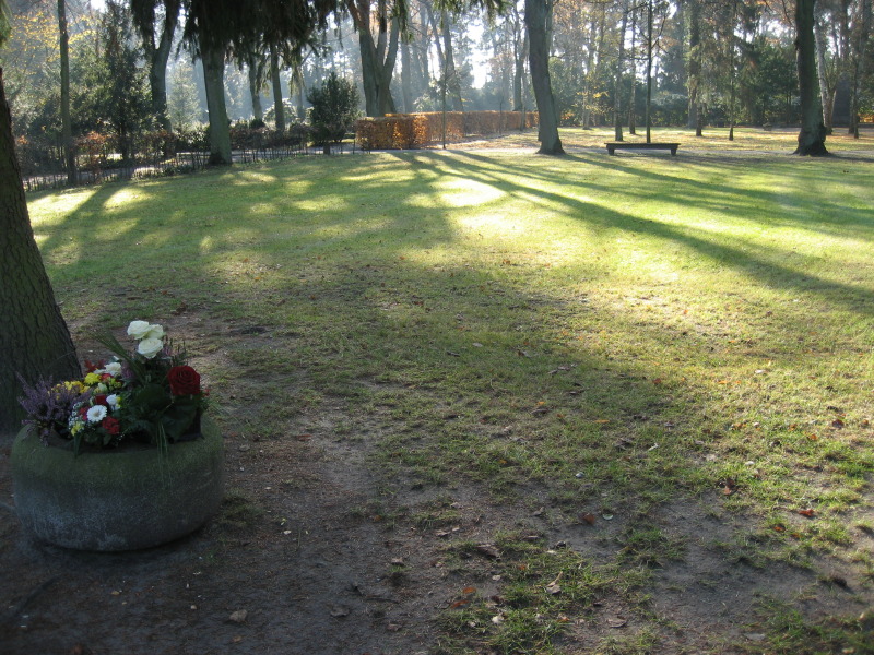 Rasenfläche mit Grabstellen für anonyme Urnenbeisetzung, Friedhof In den Kisseln