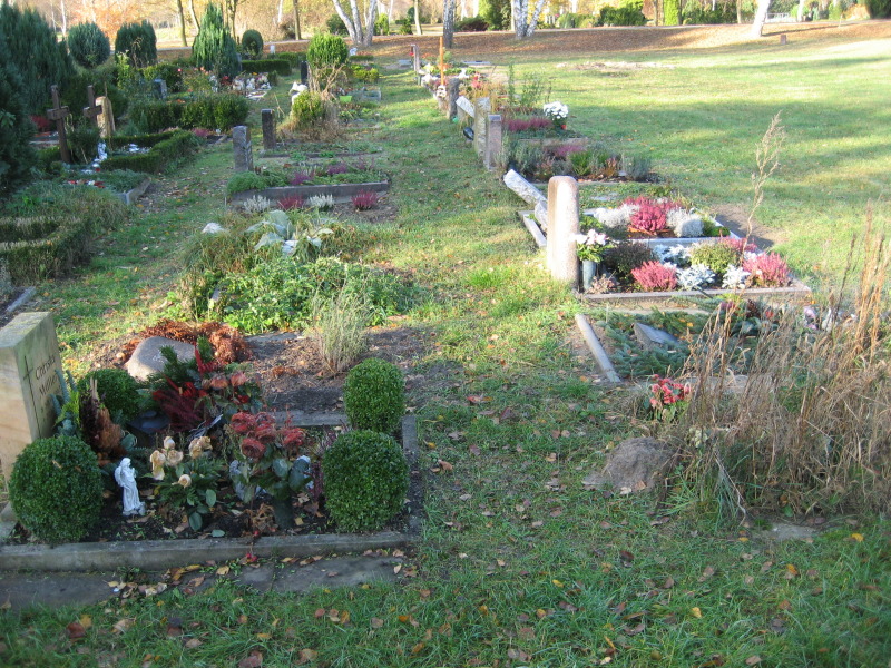 Ansicht von bepfalnzten Erdreihengrabstellen, Landschaftsfriedhof Gatow