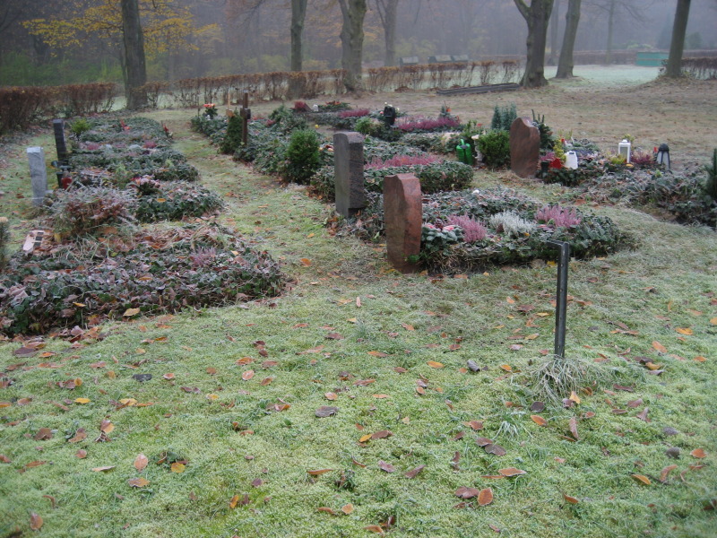 Ansicht von mehreren Erdreihengrabstätten im Winter, Friedhof Staaken
