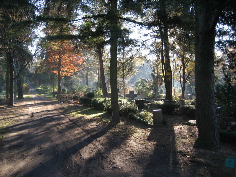Ansicht von Erdwahlgrabstätten im Herbst Friedhof In den Kisseln