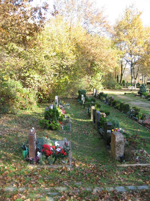 Bepflanzte Grabstellen Urnenreihe Landschaftsfriedhof Gatow