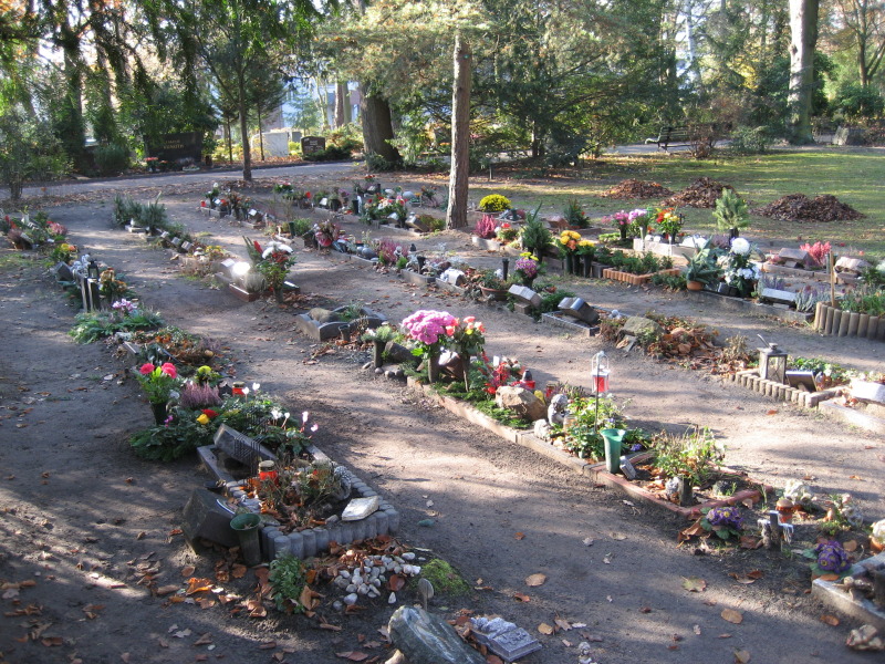 Urnenreihengrabstätten, neu angelegt, bepflanzt mit Steinumrandung Friedhof In den Kisseln
