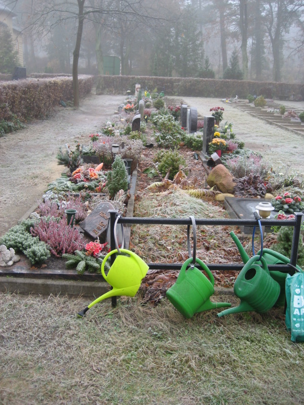 Ansicht von bepflanzten Urnenwahlgrabstellen im Winter Friedhof Staaken