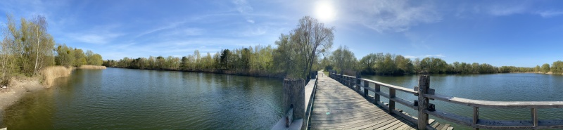 Panormabild vom Spektesee auf der Holzbrücke