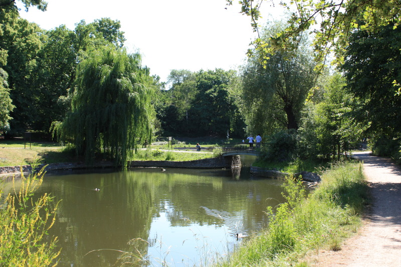 Ansicht des Teichs im Alten Park in Tempelhof