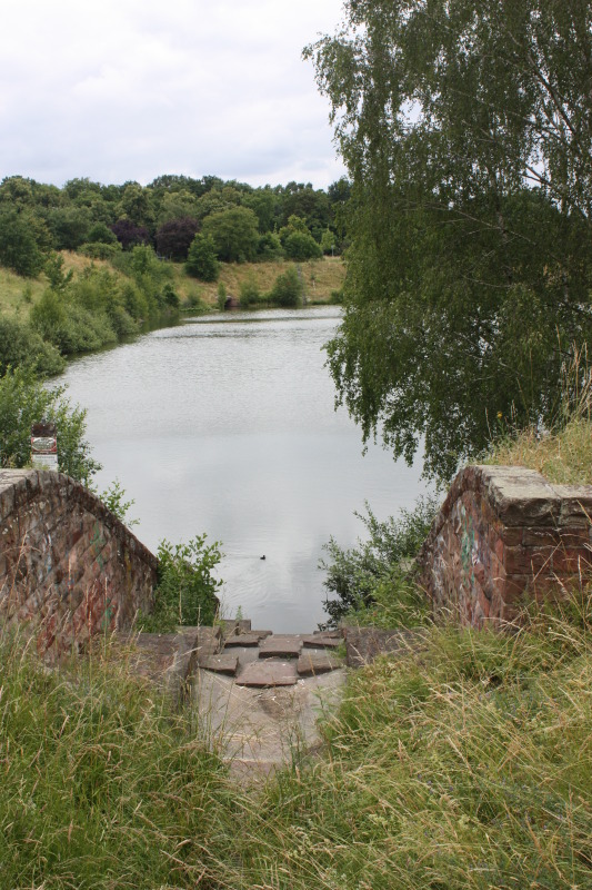 Teich im Freizeitpark Marienfelde