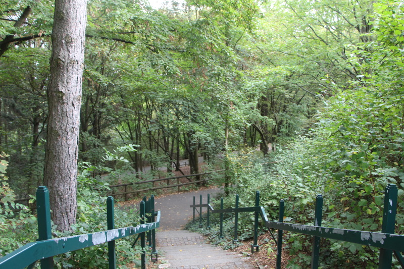 Treppenabstieg mit Blick auf den Wald