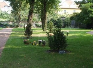 Friedhof Bohnsdorf_Urnengemeinschaft