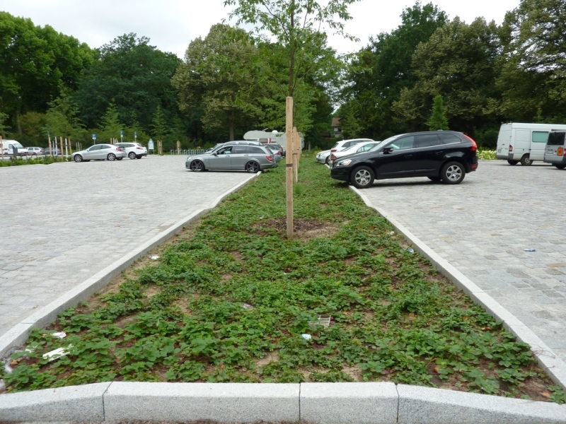 Durch den Umbau könnten die Pflanzflächen im Parkplatz vergrößert werden