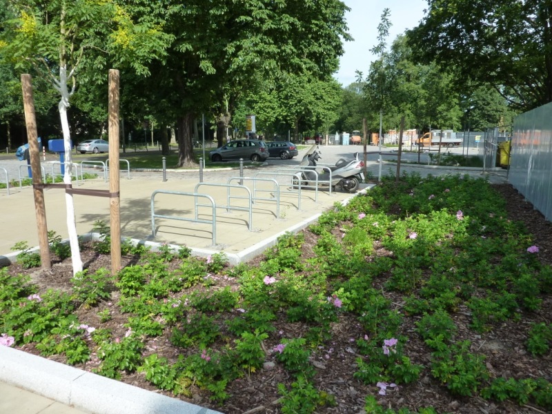Neugestalteter Vorplatz mit Fahrradbügeln und Bepflanzung