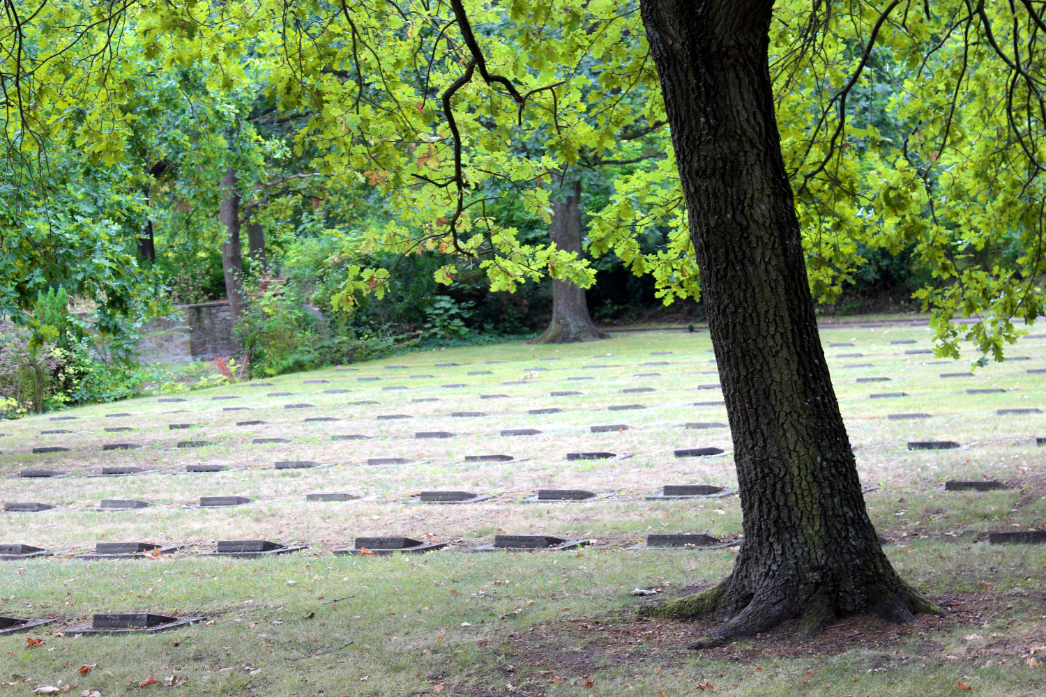 Friedhof Baumschulenweg, Grabanlage für die Opfer des Zweiten Weltkriegs 