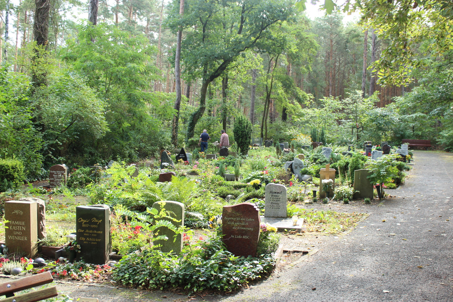 Friedhof Müggelheim, Urnenwahlgrab