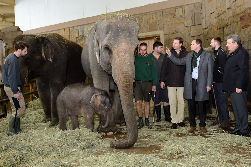 Michael Müller und Ralf Wieland im Elefantenhaus des Tierparks Berlin