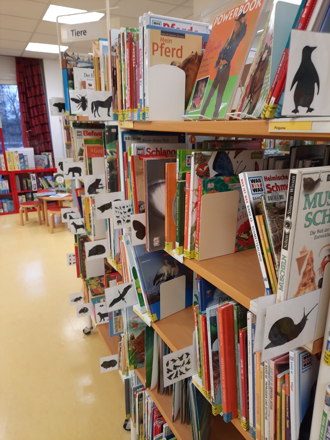 Kinderbuchregal mit Tierbüchern, sortiert nach Tierart