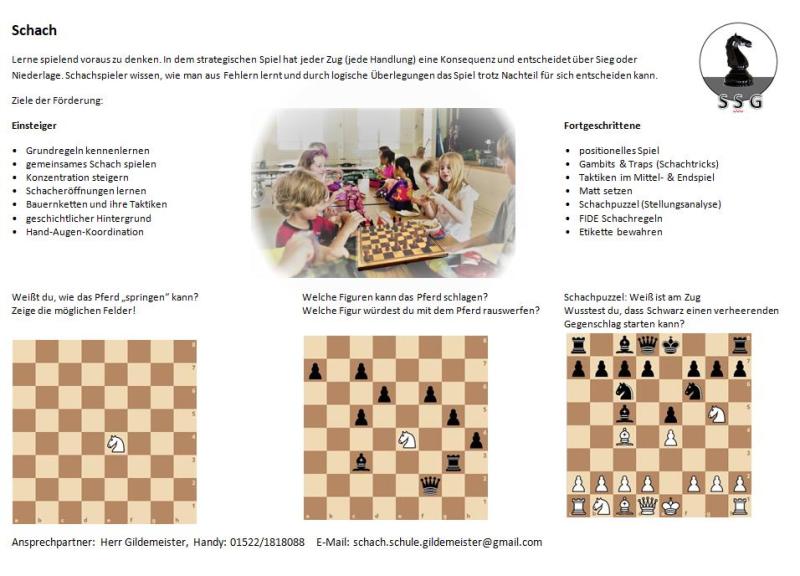 Flyer mit Infos zum Schach-Club