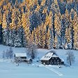 Skiurlaub im Schwarzwald