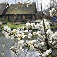 Frühling im Spreewald