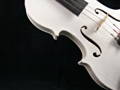 Violine