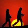 Ausdauersport: Nordic Walking
