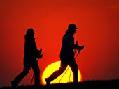 Ausdauersport: Nordic Walking