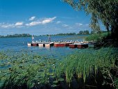 Bootsanleger am Rande eines Seerosenfeldes