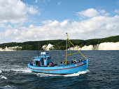 Rügen Kreideküste