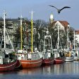 Warnemünde Alter Strom