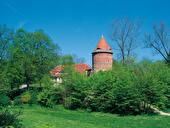 Burgturm von Plau am See hinter dichten Hecken
