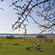 Frühling in der Uckermark