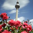 Fernsehturm Frühling