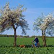 Frühling in Märkisch-Oderland