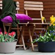 Blumen auf Balkon und Terrasse