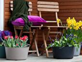 Blumen auf Balkon und Terrasse