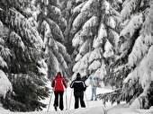 Thüringer Wald: Oberhof