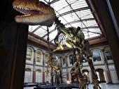 Eröffnungsfest im Museum für Naturkunde
