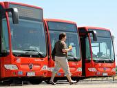 Busse