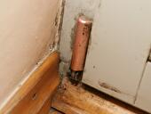 Schimmel in der Wohnung