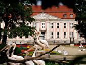 Tierpark Friedrichsfelde Berlin