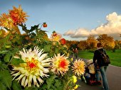 Britzer Garten Berlin