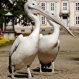 Tierpark Friedrichsfelde Berlin